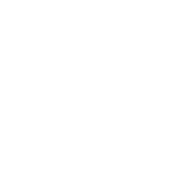 SERUM AND CO
